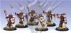 Protectorate of Menoth - Temple Flameguard Unit