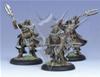 Circle Orboros - Wolves (3)