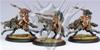 Circle Orboros - Tharn Wolf Riders Unit