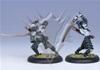 Legion of Everblight - Blighted Swordsmen