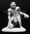 Marsh Troll