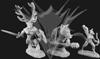 Beastmen of the Wyld