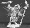 Lizardman Shaman