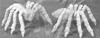 Giant Spiders (2)