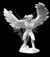 Bird Man