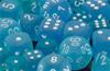 Set Dadi Frosted - Blu Caraibico/Bianco