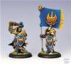 Cygnar - Sword Knight Officer Unit Attachment