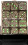 Set 36D6 Speckled - Terra