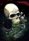 Puzzle 1000 pz. Alchemy Gothic - Rose