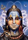 Puzzle 1000 pz. Ocampo - Double Vision - Shiva