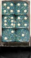 Set 12D6 Speckled - Mare