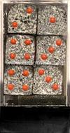 Set 12D6 Speckled - Granito
