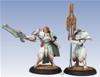 Retribution of Scyrah - Dawnguard Sentinel Officer and Standard Bearer