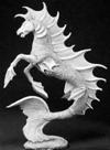 Hippocampus