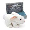 Monty Python Rabbit with Big Pointy Teeth