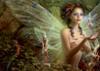 Puzzle 2000 pz. Delon - Elixir - Fairies