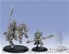 Retribution of Scyrah - Fane Knight Skeryth Issyen (2) Box