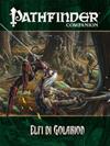 Pathfinder Companion 2 - Elfi di Golarion