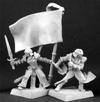 Overlord Standard and Musician