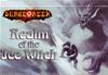 Dungeoneer - Realm of the Ice Witch