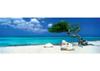 Puzzle 1000 pz. Panoramico - Divi Divi Tree