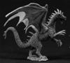 Young Forest Dragon