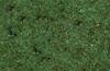 Erbetta statica sottobosco - 20gr