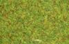 Erbetta statica verde - 20gr