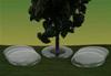 Basi trasparenti per alberi - 10pz