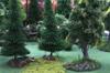 Basi pronte per alberi - 3pz