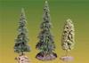 Alberi su basi decorate (3: due conifere e un deciduo)