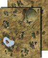 GameMastery Flip-Mat: Desert