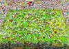 Puzzle 4000 pz. Mordillo - Crazy World Cup
