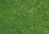 Manto erboso verde scuro - 24x15cm