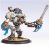 Cygnar - Ally Gallant UPGRADE KIT