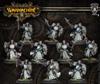 Allies - Cygnar Precursor Knights (10)