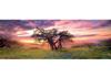 Puzzle 2000 pz. Panoramico - Oak Tree
