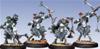 Retribution of Scyrah - Stormfall Archers (4)
