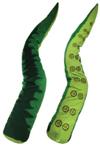 Cthulhu Tentacle - Verde