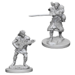 D&D Nolzur's Marvelous Miniatures - Bardo Umano Maschio