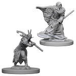 D&D Nolzur's Marvelous Miniatures - Druido Elfo Maschio