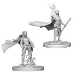 D&D Nolzur's Marvelous Miniatures - Druido Elfo Femmina