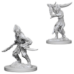D&D Nolzur's Marvelous Miniatures - Githyanki