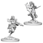 D&D Nolzur's Marvelous Miniatures - Ladro Genasi dell'Aria Femmina