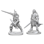 Pathfinder Deep Cuts Miniatures - Guerriero Umano Maschio