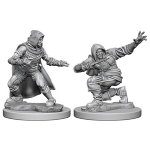 Pathfinder Deep Cuts Miniatures - Ladro Umano Maschio