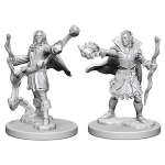 Pathfinder Deep Cuts Miniatures - Stregone Elfo Maschio