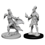 Pathfinder Deep Cuts Miniatures - Stregone Elfo Femmina