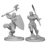Pathfinder Deep Cuts Miniatures - Barbaro Mezzorco Femmina