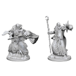 D&D Nolzur's Marvelous Miniatures - Mago Umano Maschio